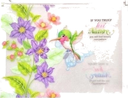 Fresh Fresh A4+ Perm Med Plastglider Kolibri Fresh
