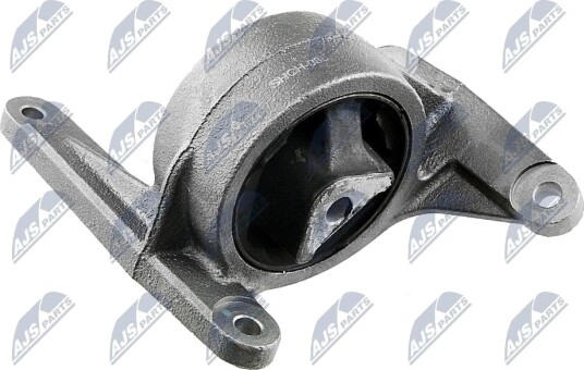 NTY ZPS CH 088 Motorfeste