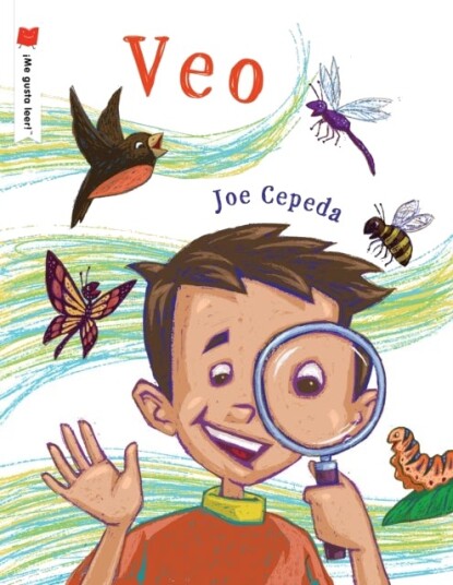 Veo/ I see Veo/ I see