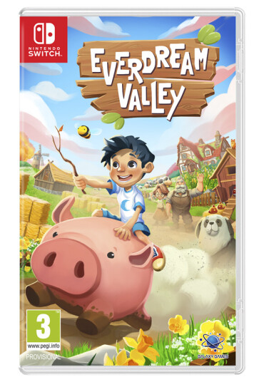 Everdream Valley Switch