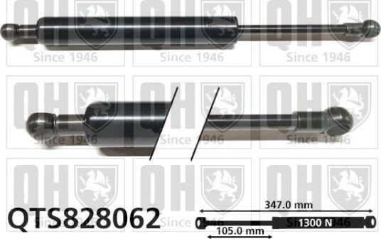 QUINTON HAZELL QTS828062 Baklukedemper