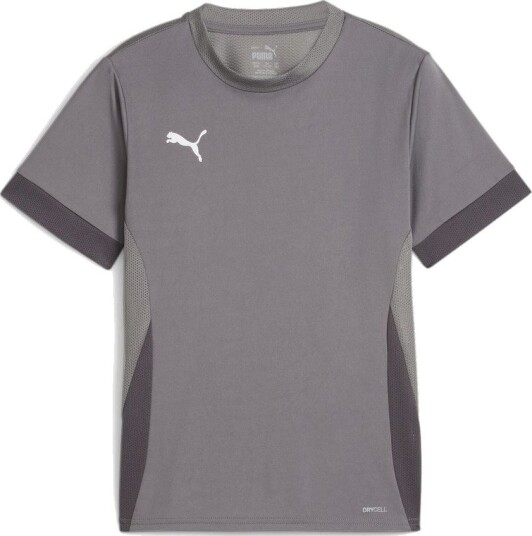 PUMA Trenings T Skjorte teamGOAL Grå/PUMA White Barn størrelse 152 cm