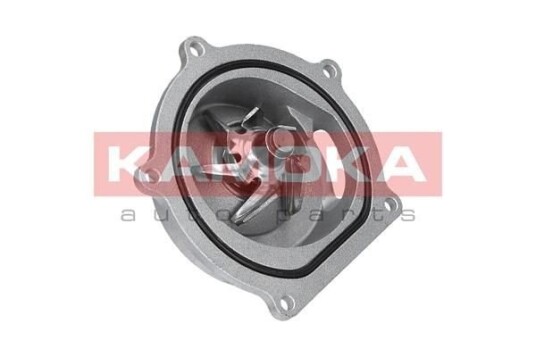 Vannpumpe KAMOKA T0145
