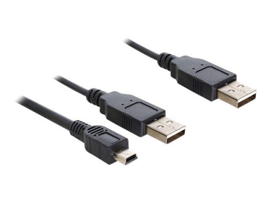 Delock USB 3.2 Gen 2 Strømkabel 30 cm Hunkjønn Delock USB 3.2 Gen 2 Strømkabel 30 cm Hunkjønn