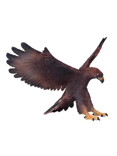 Mojo   Wildlife Golden Eagle