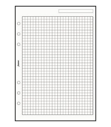 Filofax note paper A5 25 sheets