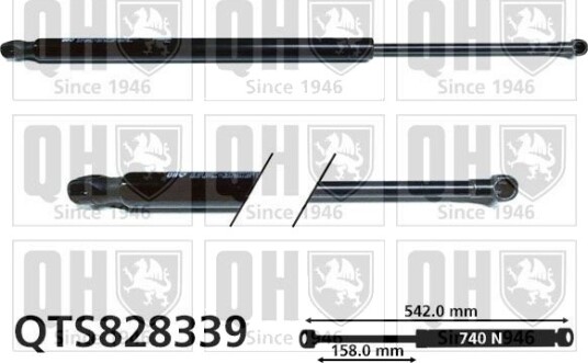 QUINTON HAZELL QTS828339 Baklukedemper