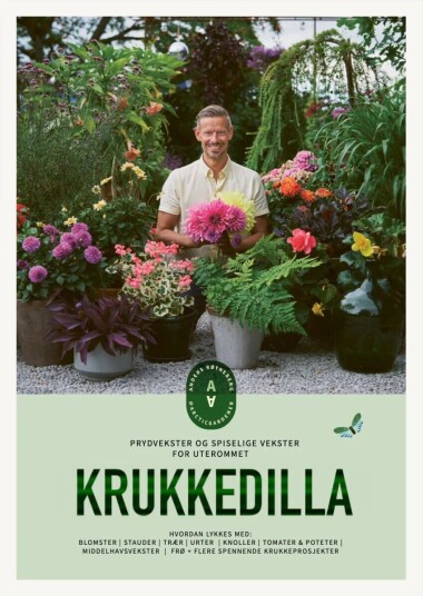 Krukkedilla Av Anders Røyneberg, Erik Schjerven
