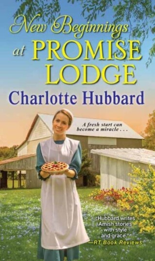 New Beginnings At Promise Lodge Av Charlotte Hubbard