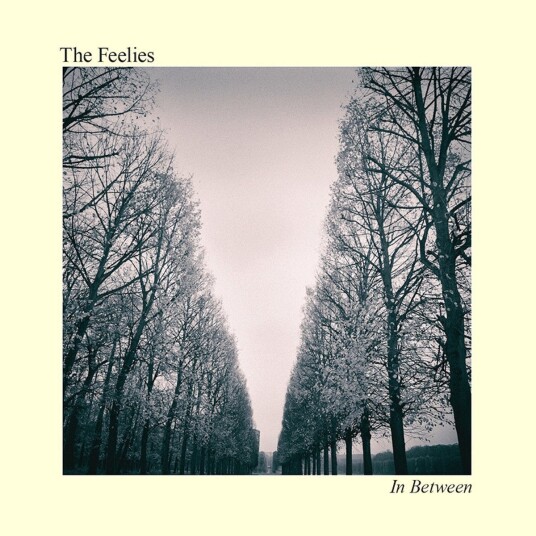 The Feelies In Between CD The Feelies In Between CD