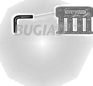 BUGIAD 88623 Ladeluftslange