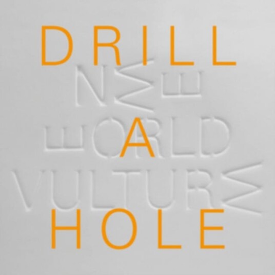 New World Vulture  Drill A Hole  LP/Vinyl