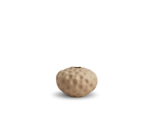 Cooee Design Seedpod Walnut Small