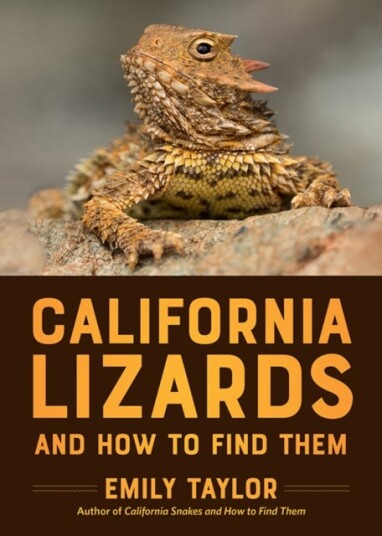 California Lizards and How to Find Them California Lizards and How to Find Them