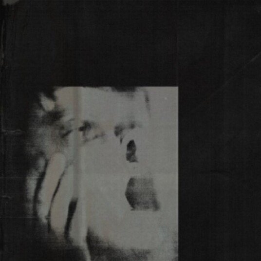 Ditz Never Exhale Vinyl