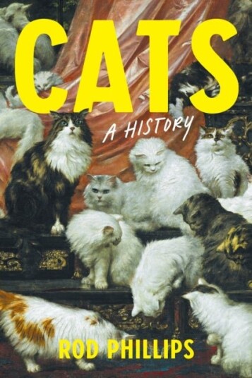 Cats Cats