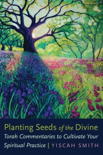 Planting Seeds of the Divine  Torah Commentaries to Cultivate Your Spiritual Practice