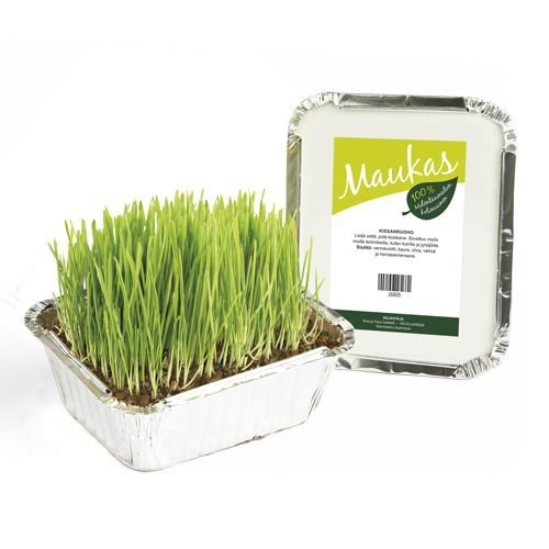 Maukas Kattegress 500Ml
