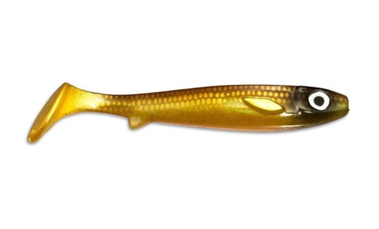 Kanalgratis Flatnose Shad 19cm - Golddigger Kanalgratis Flatnose Shad 19cm - Golddigger