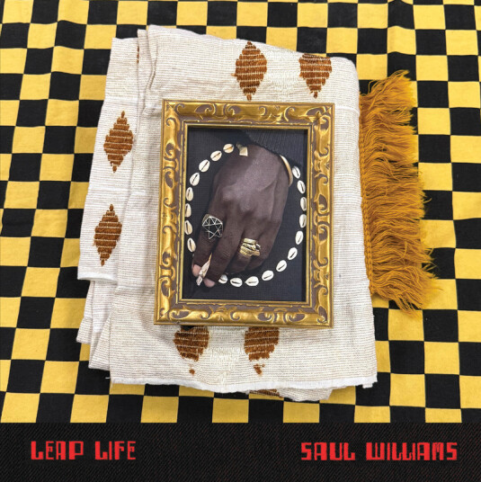 Saul Williams Leap Life CD