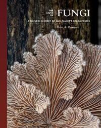 The Lives Of Fungi Av Britt A. Bunyard