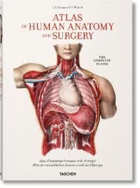 Bourgery. Atlas Of Human Anatomy And Surgery Av Jean-Marie Le Minor, Henri Sick