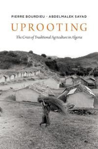 Bourdieu Pierre Uprooting