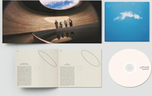 Mystery Jets A Hole To See The Sky Through CD