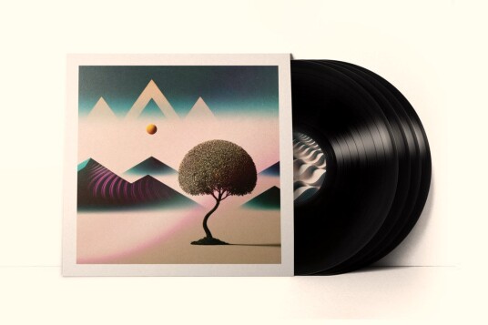 36  Dreamloops  LP/Vinyl