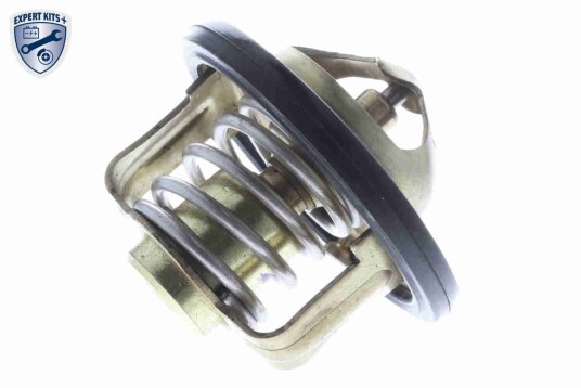 Termostat ACKOJA A64 99 0007