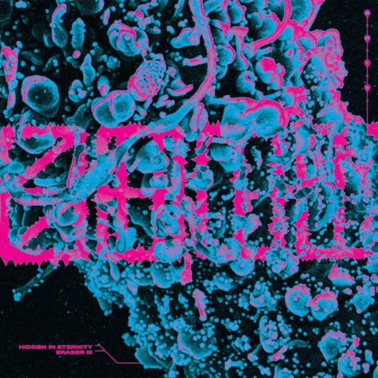 S.H.I.T.  Hidden In Eternity / Eraser III  LP/Vinyl
