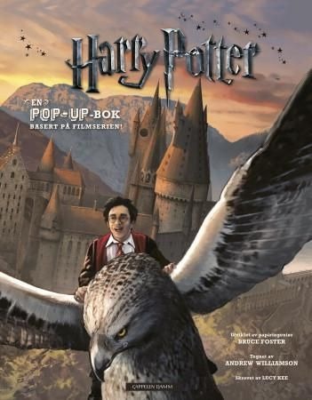 Harry Potter : En pop-up-bok Innbundet Akseptabel bruktbok
