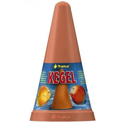 Akudim Kjegle Til Egglegging For Diskus Akudim Kjegle Til Egglegging For Diskus