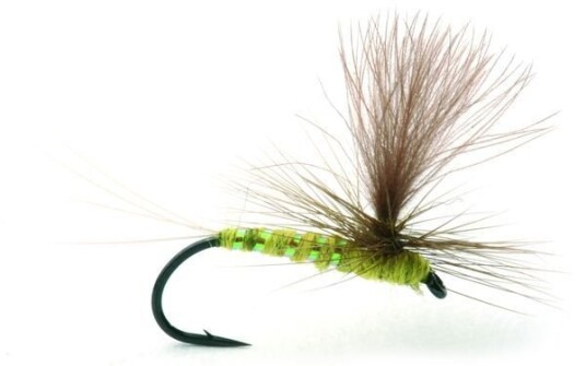 Flies Olive Flash Olive Flash