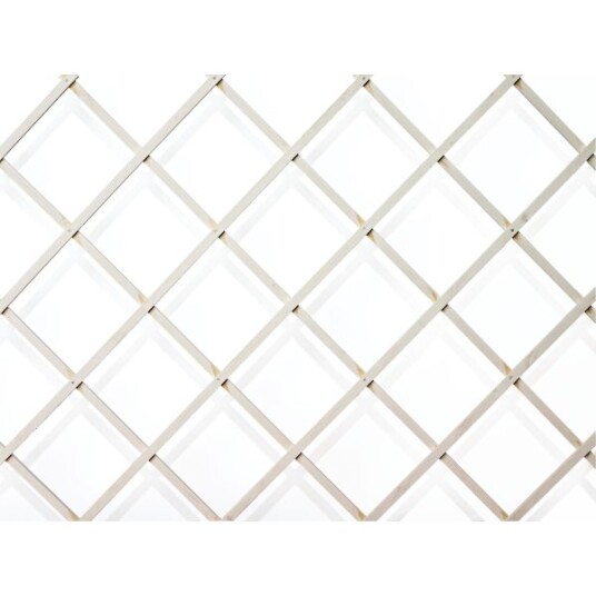Nelson Garden 5191 Treespalier hvit, 50 x 140 cm, Avling