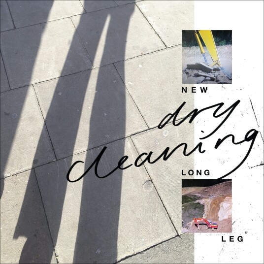 Dry Cleaning New Long Leg LP/Vinyl Dry Cleaning New Long Leg LP/Vinyl