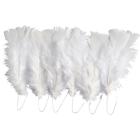 Dunfjær Creativ Company Ass Farger 11-17 cm 1 Pk Hvit