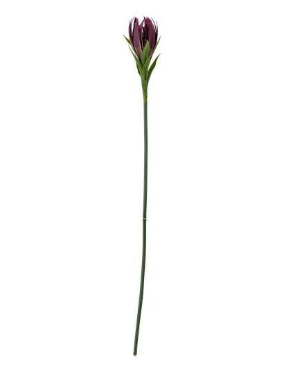 Bloomingville Lily Stem Purple H76CM