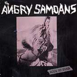 Angry Samoans Inside My Brain CD