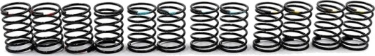 Yeah Racing BBG-015BK 55MM BIG BORE GO SPRING SET