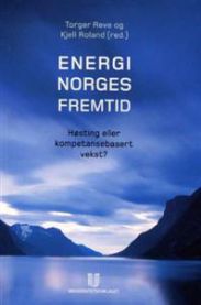 Energi-Norges fremtid: høsting eller kompetansebasert vekst?, Pent brukt bok uten markeringer