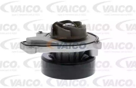 VAICO V20-50060 Vannpumpe