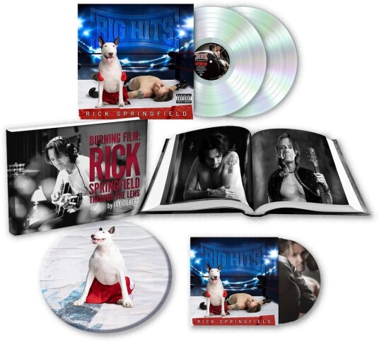 Rick Springfield Big Hits: Rick Springfield's Greatest Hits Vol. 2 LP/Vinyl