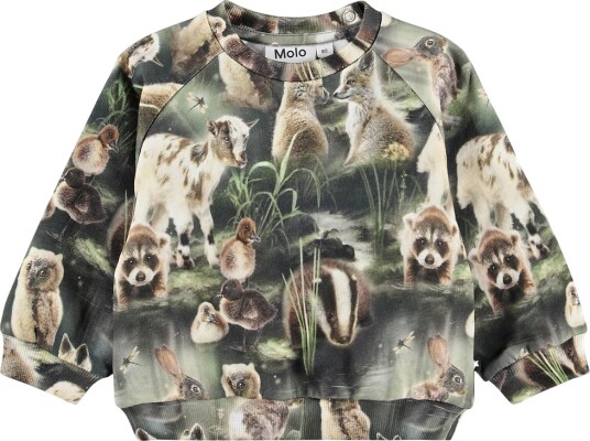 Molo Collegegenser   Disk   Fabel Forest   Molo   1½ år (86)   Collegegenser Armygrønn Beige Brun Grønn