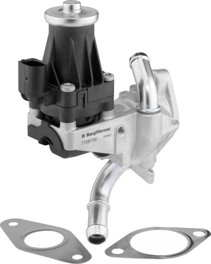 EGR Ventil WAHLER 710979D