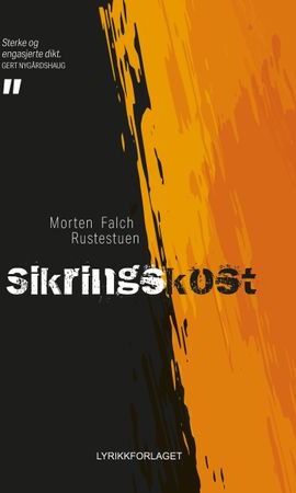 Sikringskost