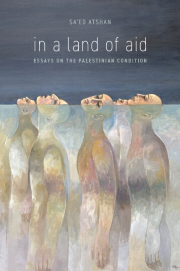 In a Land of Aid  Essays on the Palestinian Condition
