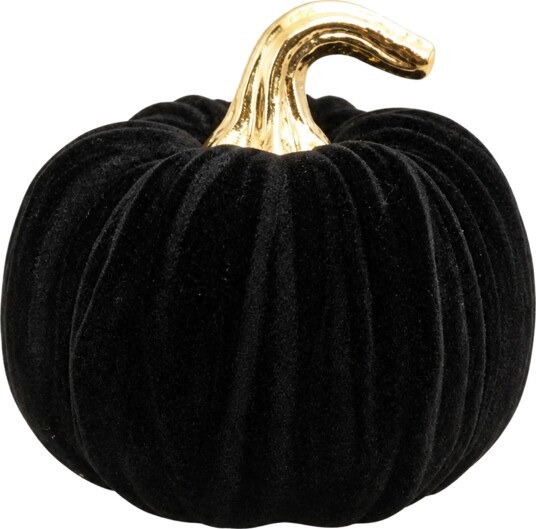 Gresskar Halloween i Velur Svart/Gull Stor