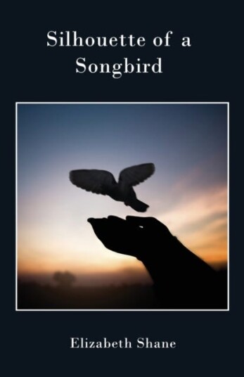 Silhouette of a Songbird Silhouette of a Songbird