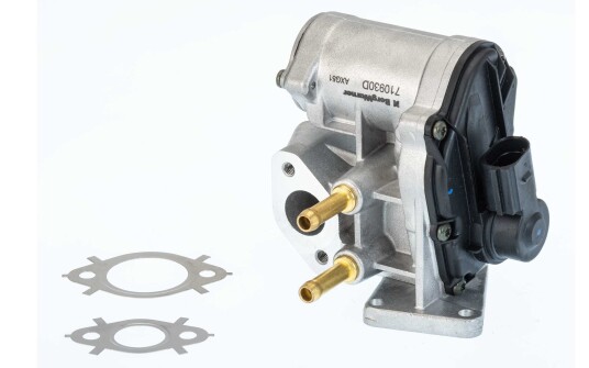 EGR Ventil WAHLER 710930D